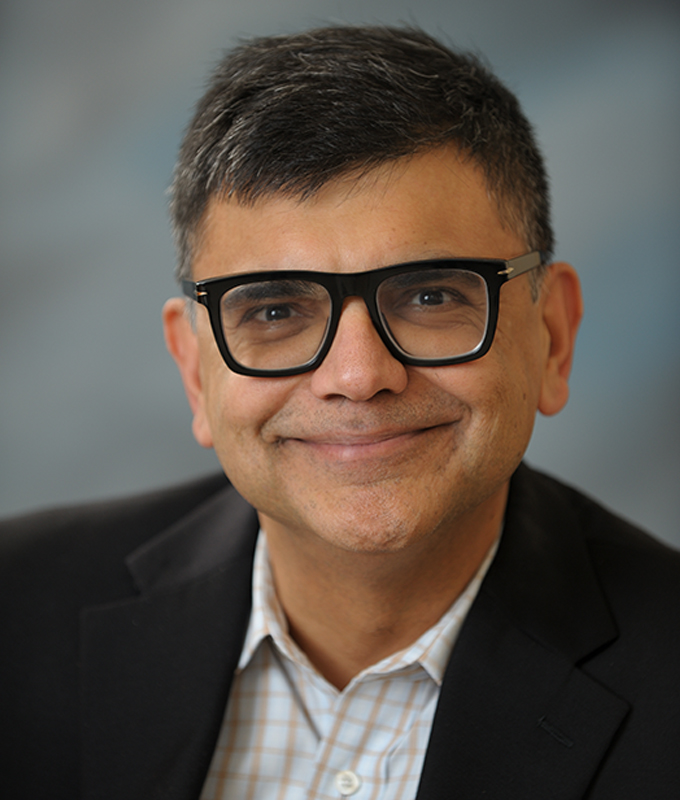 Profile of Professor Gopesh Anand